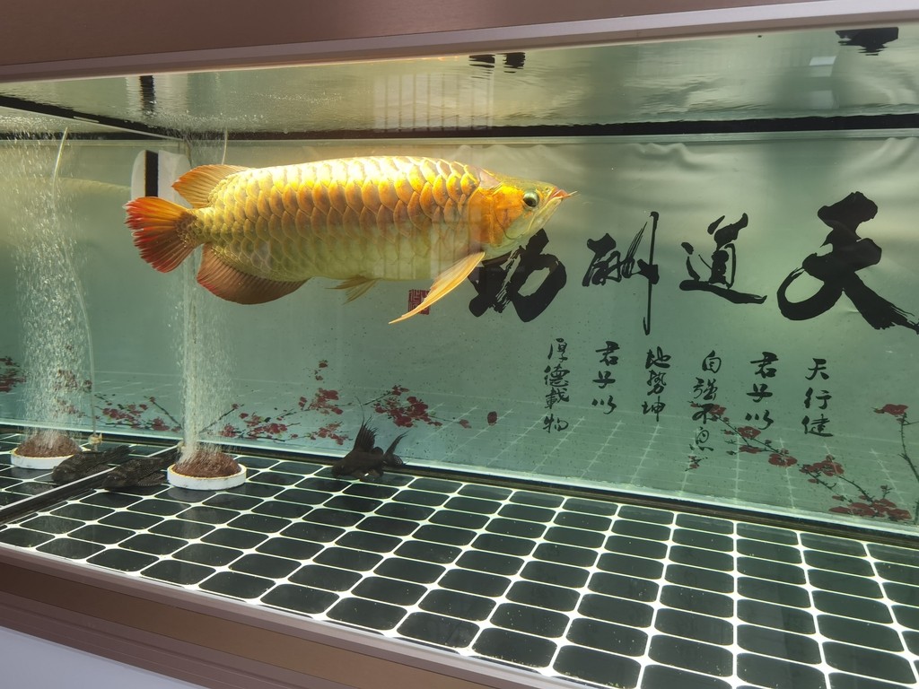 你還未提供具體的內容呀，暫時沒辦法準確生成相應的長標題呢，你可以把內容告訴我