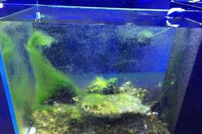 罕過濾桶2228功率等參數詳解，助你