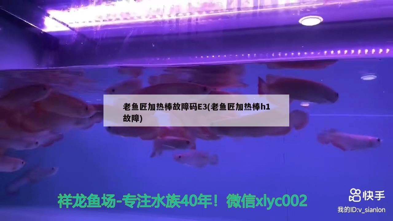 魚匠加熱棒故障碼E3與h1故障解析及