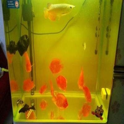 過濾器安裝圖及組裝步驟詳解，輕松搞定aquarium過濾