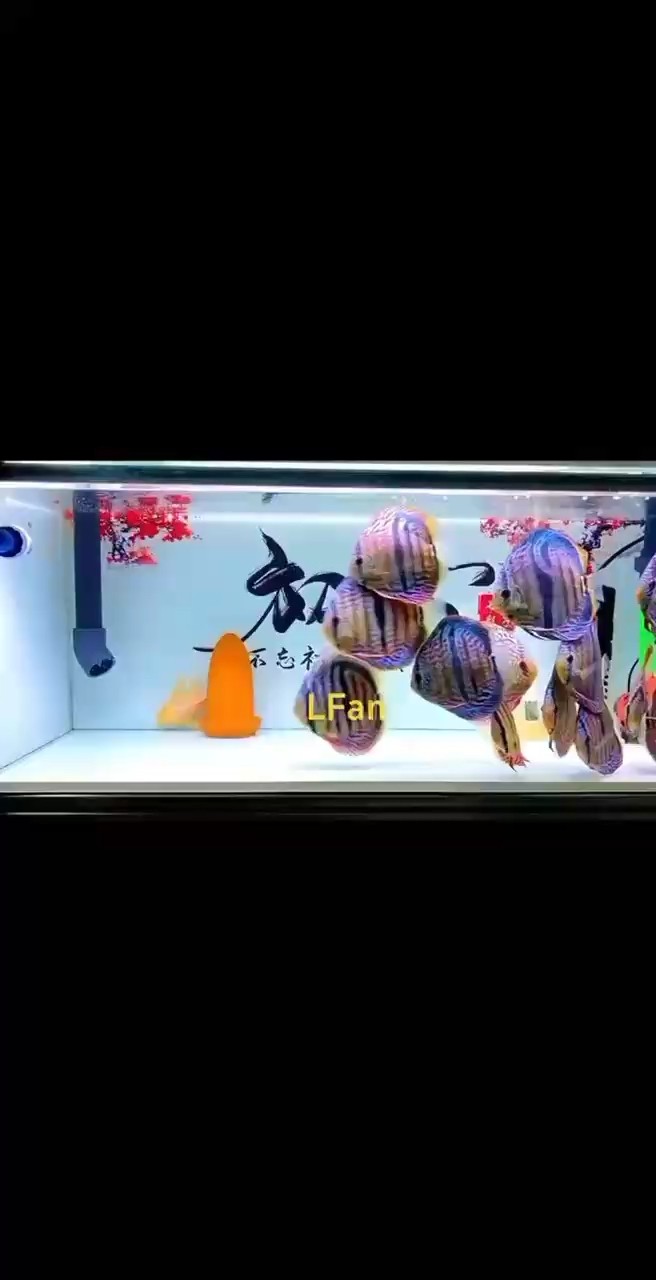 你還未提供具體的內(nèi)容呀，我暫時沒辦法準(zhǔn)確生成相應(yīng)的長標(biāo)題呢，你可以把內(nèi)容