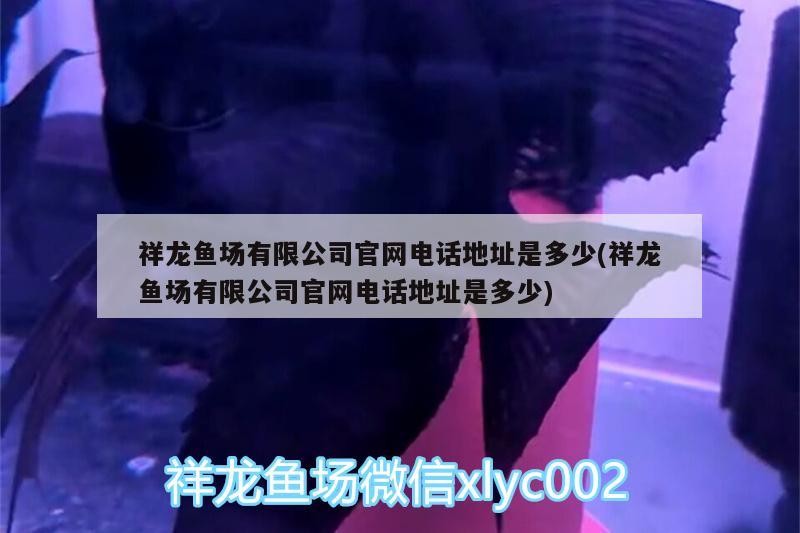 龍魚場(chǎng)有限公司官網(wǎng)電話地址是多少？