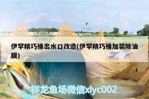 伊罕精巧桶出水口改造，加裝除油膜，提升 伊罕精巧桶出水口改造，加裝除油膜，提升 伊罕水族