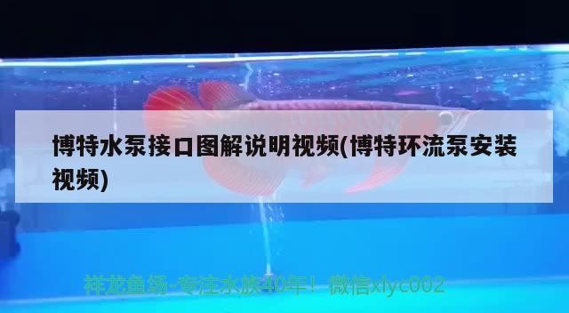 特水泵接口圖解及環(huán)流泵