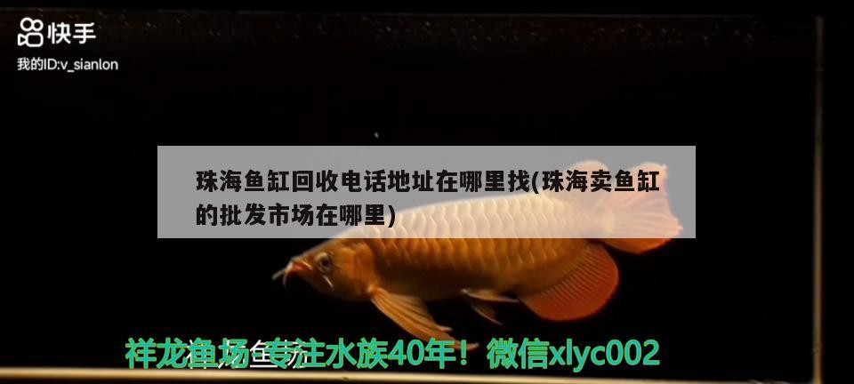 魚缸回收及售賣批發市場地址電話查詢攻略