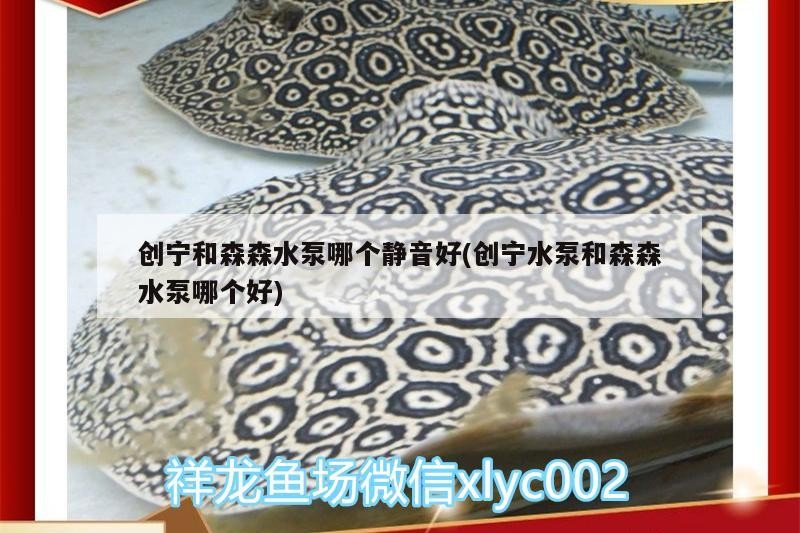創寧和森森水泵哪個靜音好(創寧水泵和森森水泵哪個好)