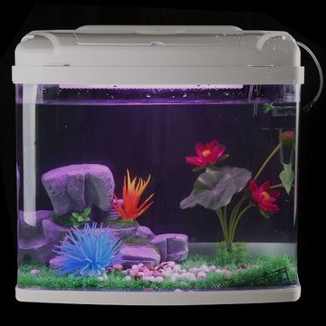 70長40寬60高魚缸圖片：70長40寬60高的魚缸尺寸選擇指南魚缸尺寸選擇指南