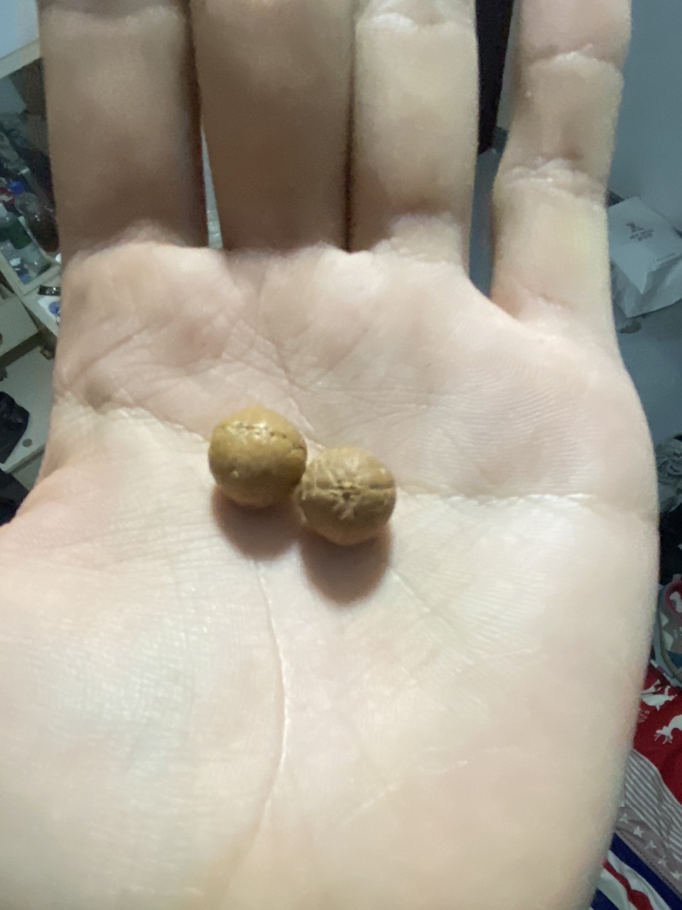 打底和不打底的區別