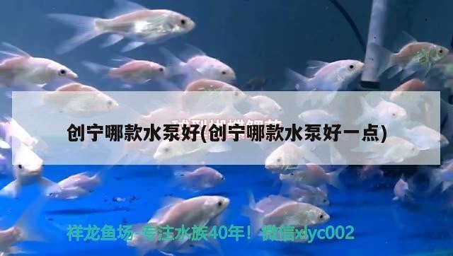 創寧哪款水泵好(創寧哪款水泵好一點)