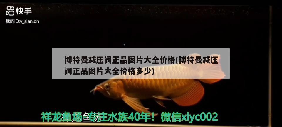 博特曼減壓閥正品圖片大全價格(博特曼減壓閥正品圖片大全價格多少) 博特曼減壓閥正品圖片大全價格(博特曼減壓閥正品圖片大全價格多少) 博特水族
