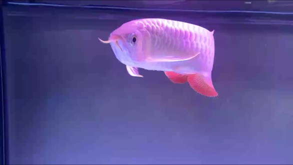 日常分享 美美與共！