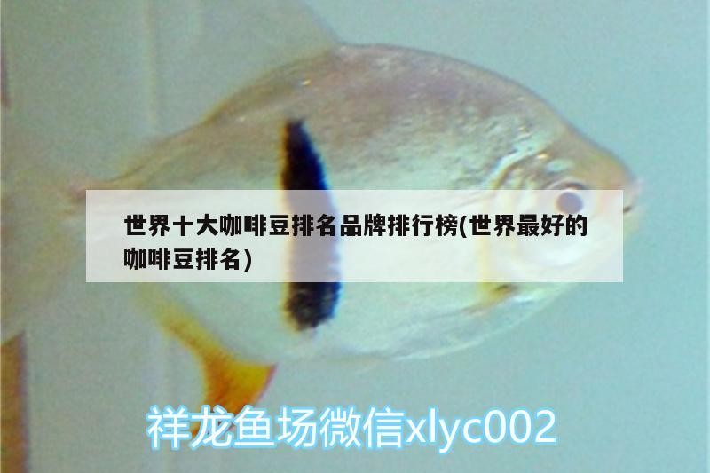 世界十大咖啡豆排名品牌排行榜(世界最好的咖啡豆排名)
