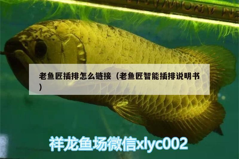 老魚匠插排怎么鏈接（老魚匠智能插排說明書）