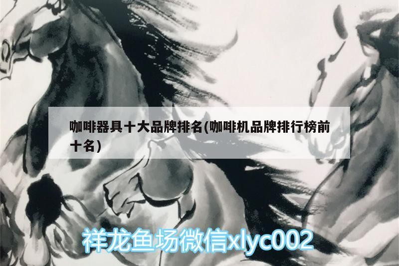 咖啡器具十大品牌排名(咖啡機品牌排行榜前十名)