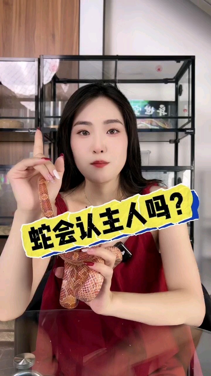 蛇會(huì)認(rèn)主嗎