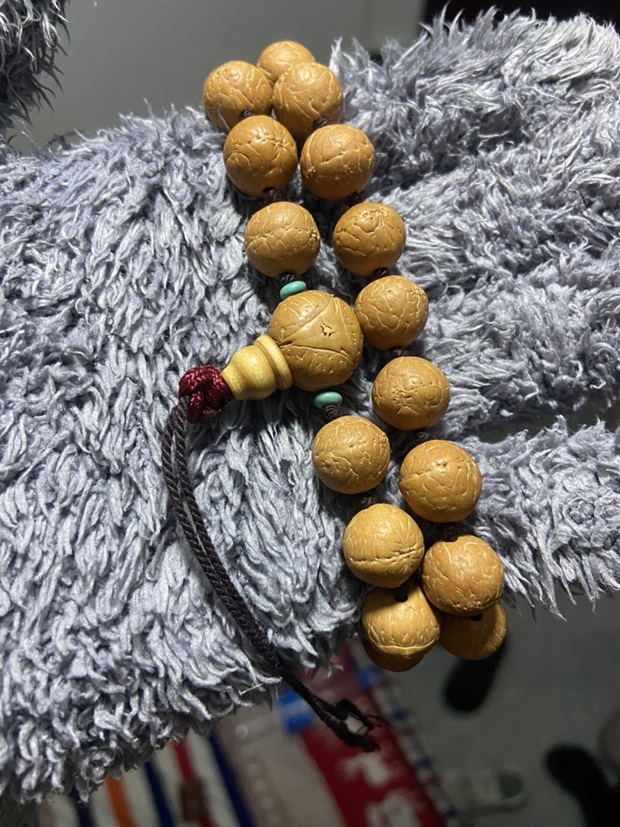 第一天