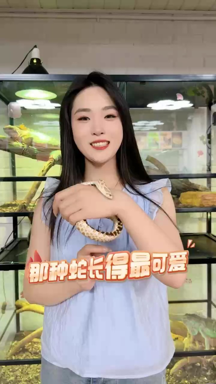 寵物蛇那種最可愛(ài)