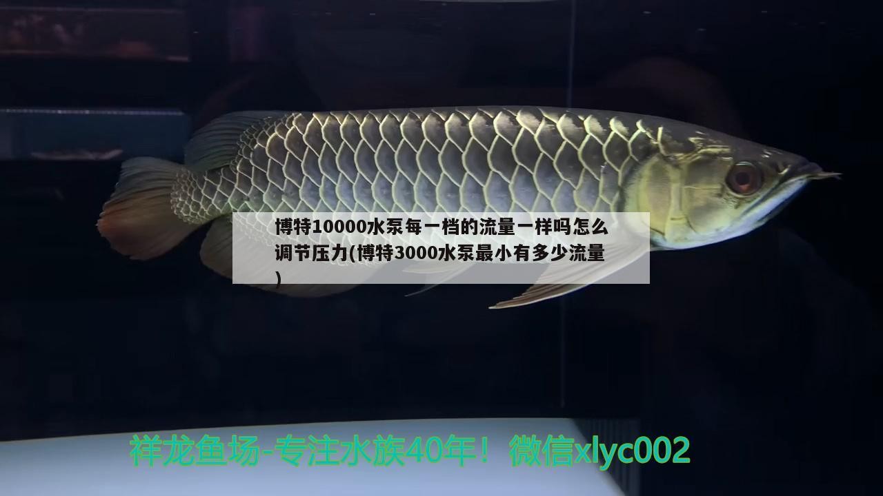 博特10000水泵每一檔的流量一樣嗎怎么調節壓力(博特3000水泵最小有多少流量)