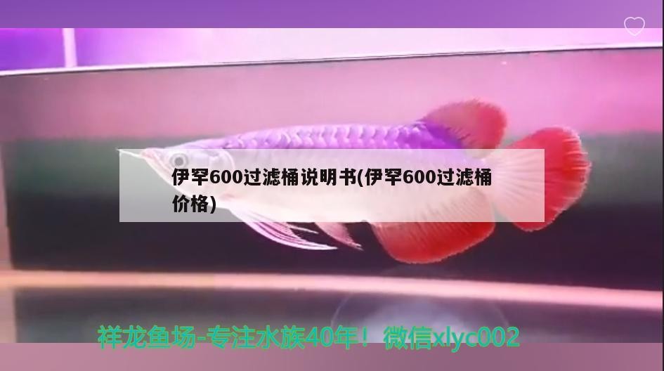 伊罕600過濾桶說明書(伊罕600過濾桶價格)