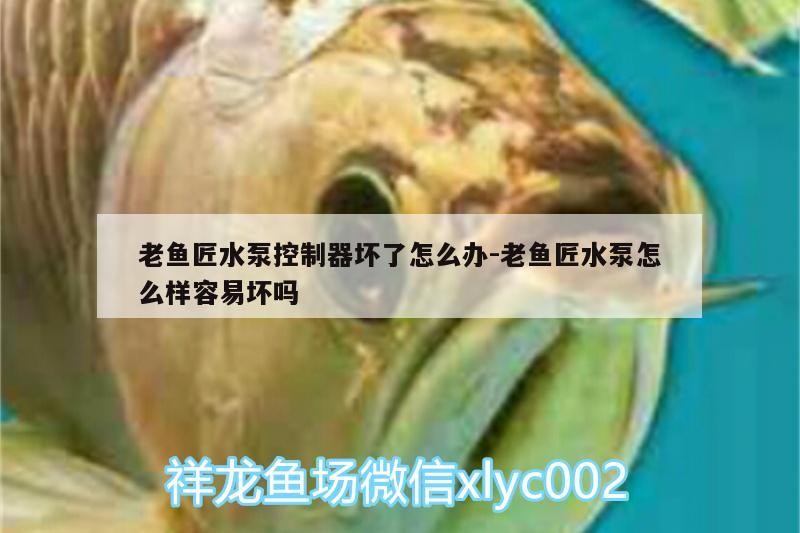 老魚匠水泵控制器壞了怎么辦:老魚匠水泵怎么樣容易壞嗎
