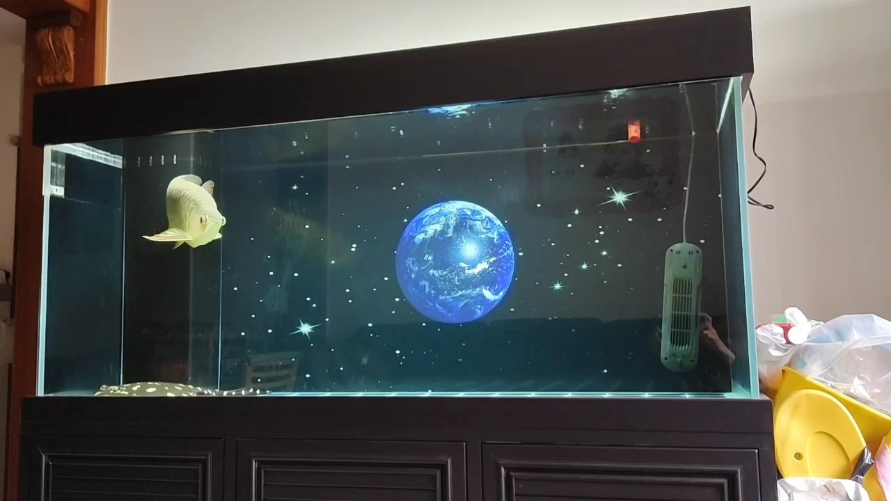 氣溫驟降注意魚缸溫度啊友友們 氣溫驟降注意魚缸溫度啊友友們 龍魚論壇