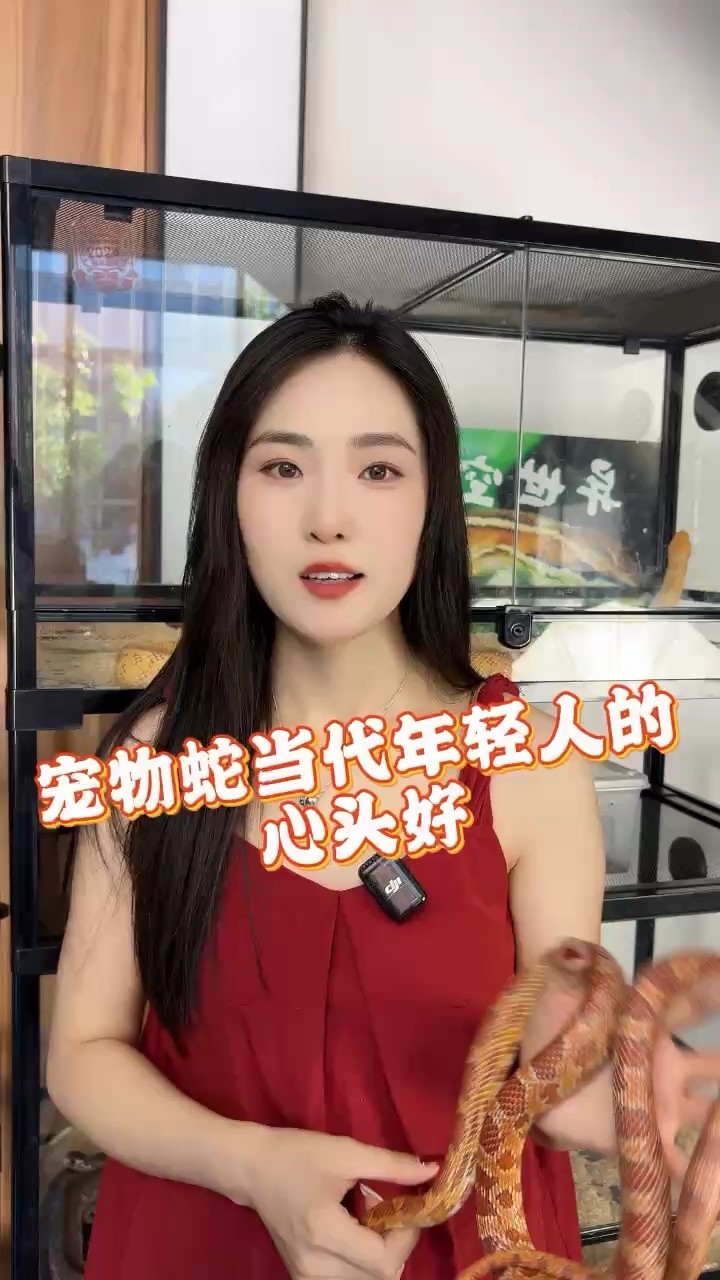 寵物蛇為什么會(huì)成為年輕人的心頭好