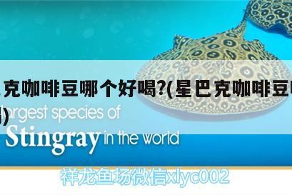 星巴克咖啡豆哪個好喝?(星巴克咖啡豆哪款好喝)