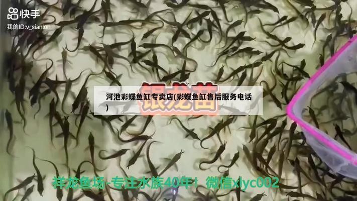 老魚匠水泵尺寸（老魚匠水泵6500）
