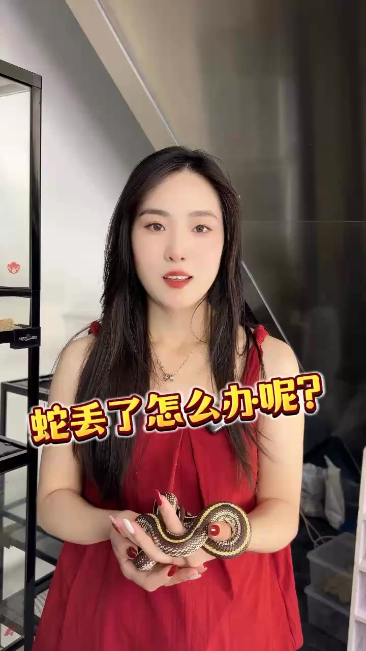 蛇丟了怎么辦
