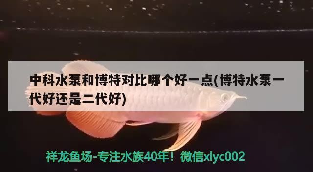 中科水泵和博特對比哪個(gè)好一點(diǎn)(博特水泵一代好還是二代好)