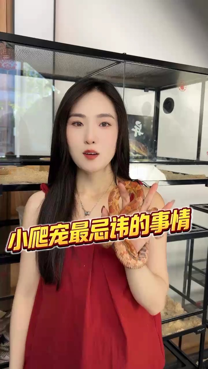 盤蛇的注意事項
