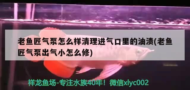 老魚匠氣泵怎么樣清理進氣口里的油漬(老魚匠氣泵出氣小怎么修)
