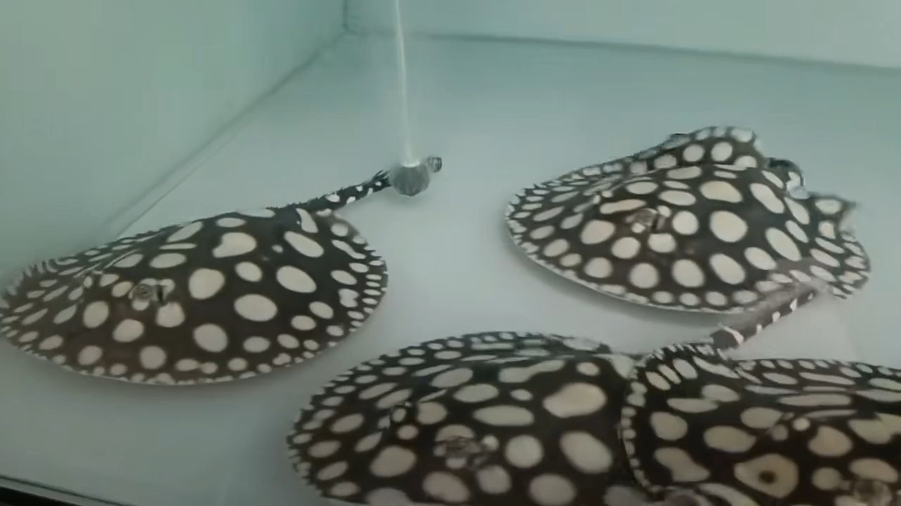 私信被鎖，沒辦法回信