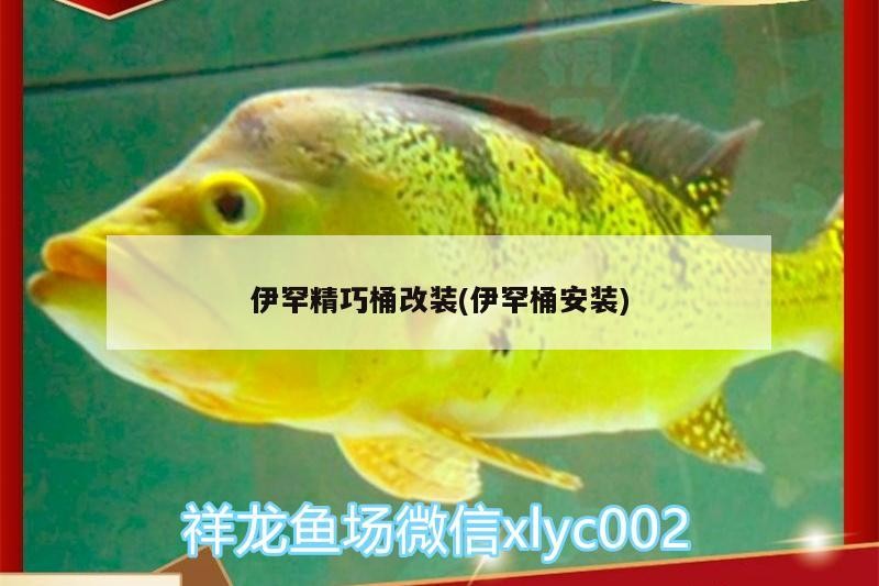 伊罕精巧桶改裝(伊罕桶安裝)