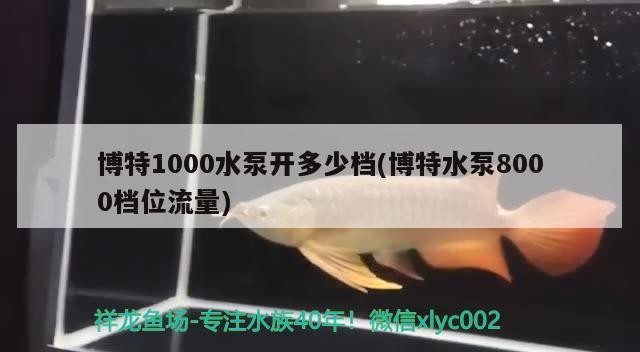 魚缸過濾器選購指南:自制魚缸過濾器魚缸上置過濾器對于養(yǎng)魚愛好者的必備知識 博特1000水泵開多少檔(博特水泵8000檔位流量) 博特水族 博特1000水泵開多少檔(博特水泵8000檔位流量) 博特1000水泵開多少檔(博特水泵8000檔位流量) 博特水族