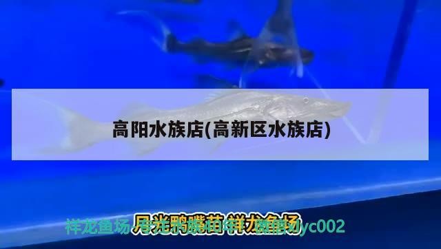 高陽水族店(高新區水族店)