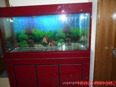 5毫米玻璃魚缸:5毫米厚的玻璃可以用于制作的魚缸的溫度和濕度和粘合方法 魚缸百科 第1張 5毫米玻璃魚缸:5毫米厚的玻璃可以用于制作的魚缸的溫度和濕度和粘合方法 5毫米玻璃魚缸:5毫米厚的玻璃可以用于制作的魚缸的溫度和濕度和粘合方法 魚缸百科 第1張