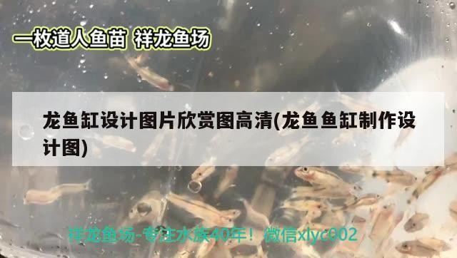 龍魚缸設(shè)計圖片欣賞圖高清(龍魚魚缸制作設(shè)計圖)