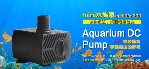 70升水的魚缸用多大的潛水泵？：如何確定魚缸潛水泵的大小 70升水的魚缸用多大的潛水泵？：如何確定魚缸潛水泵的大小 魚缸百科 第4張