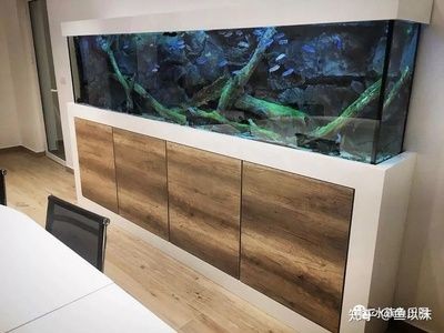 ada魚缸背景板：ada魚缸背景板怎么選