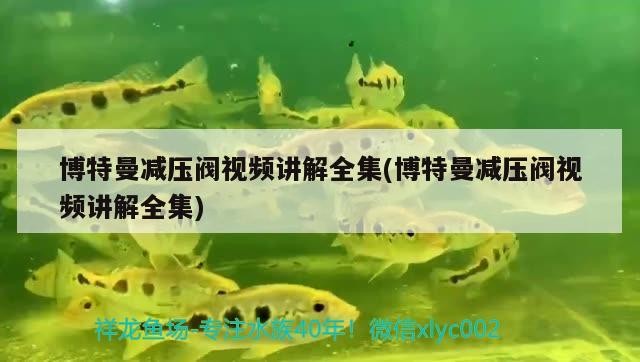 博特曼減壓閥視頻講解全集(博特曼減壓閥視頻講解全集)