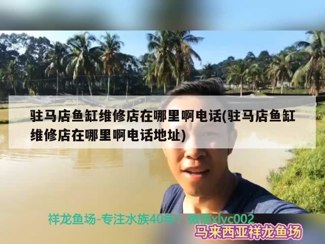 駐馬店魚(yú)缸維修店在哪里啊電話(駐馬店魚(yú)缸維修店在哪里啊電話地址)
