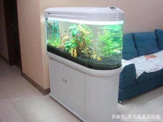 創寧水泵二代好嗎（創寧水泵二代好嗎怎么樣）