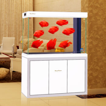 常州觀賞魚魚房轉讓（常州魚塘轉讓信息）