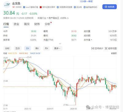 龍魚被打傷怎么治療？vs祥龍魚場：龍魚傷口護理方法