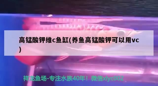 高錳酸鉀維c魚缸(養魚高錳酸鉀可以用vc)