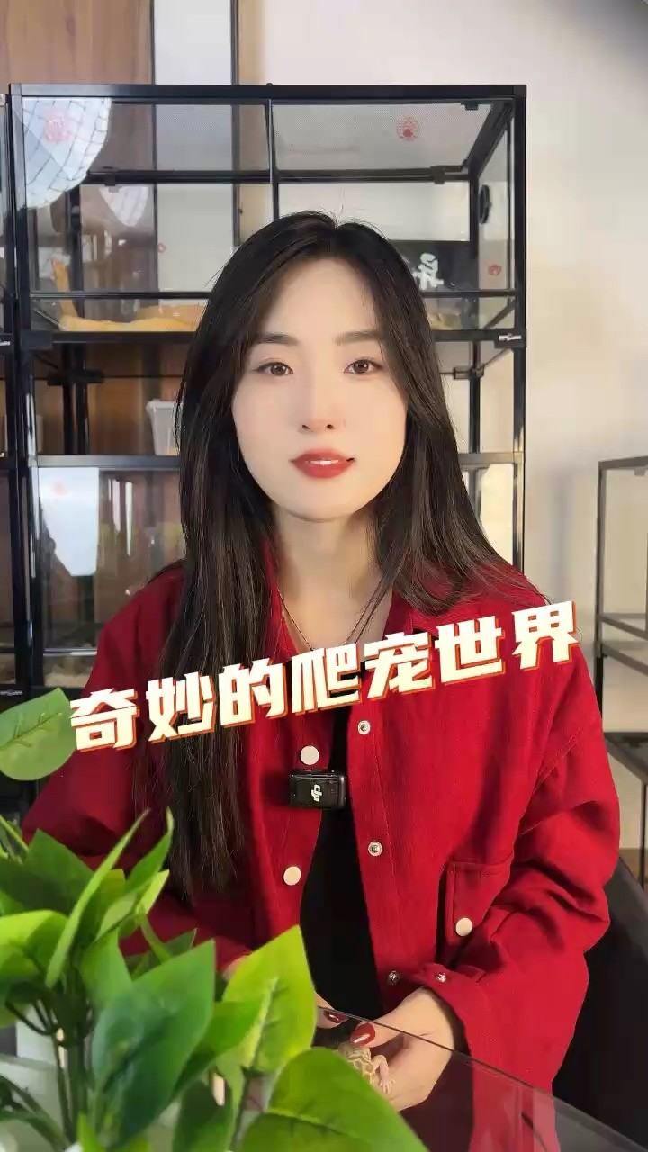 今天帶大家認(rèn)識(shí)爬寵世界