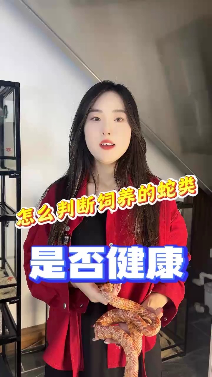 怎么判斷自己飼養的蛇比較健康