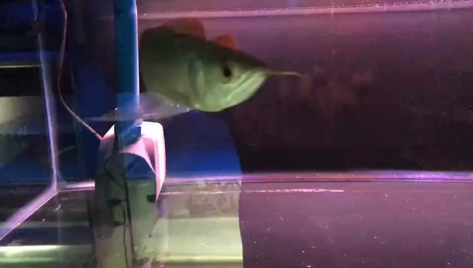 最小尺寸