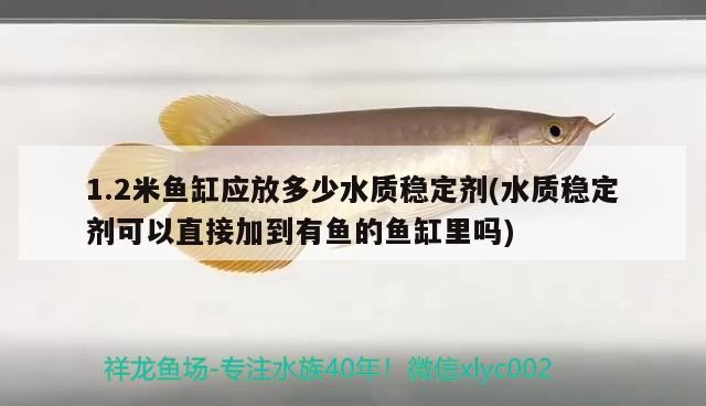 1.2米魚缸應放多少水質穩定劑(水質穩定劑可以直接加到有魚的魚缸里嗎)